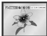 SAMSUNG DVDV70 - Lisez des images gravées sur CD - 5