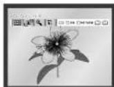 SAMSUNG DVDV70 - Lisez des images gravées sur CD - 4