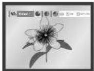 SAMSUNG DVDV70 - Picture CD Playback - 14