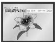 SAMSUNG DVDV70 - Picture CD Playback - 13