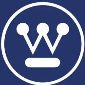 WESTINGHOUSE WGen20000c - DéPANNAGE - 1