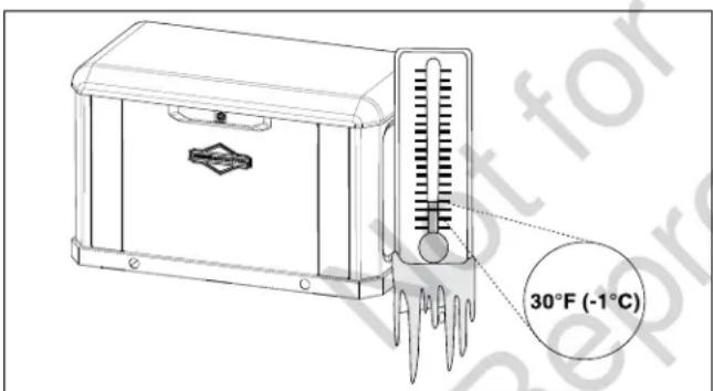 BRIGGS & STRATTON Power Protect 20kW - Kit para climas fríos - 1
