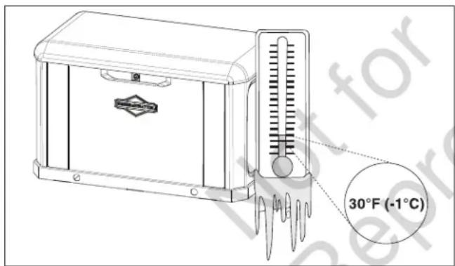 BRIGGS & STRATTON Power Protect 17kW - Cold Weather Kit - 1