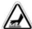 BRIGGS & STRATTON Power Protect 12kW - WARNING - 1
