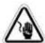 BRIGGS & STRATTON Power Protect 12kW - WARNING - 1