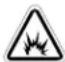 BRIGGS & STRATTON Power Protect 12kW - WARNING - 1