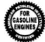 BRIGGS & STRATTON Power Protect 12kW - Engine Oil - 2