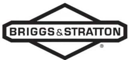 BRIGGS & STRATTON Power Protect 10kW - 10kW Generator - 1