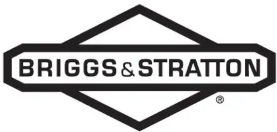 BRIGGS & STRATTON Power Protect 10kW - Especificaciones del motor - 1