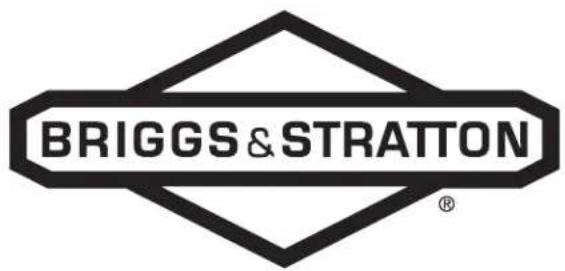 BRIGGS & STRATTON Power Protect 10kW - Especificaciones del motor - 2