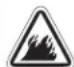 BRIGGS & STRATTON Power Protect 10kW - WARNING - 1