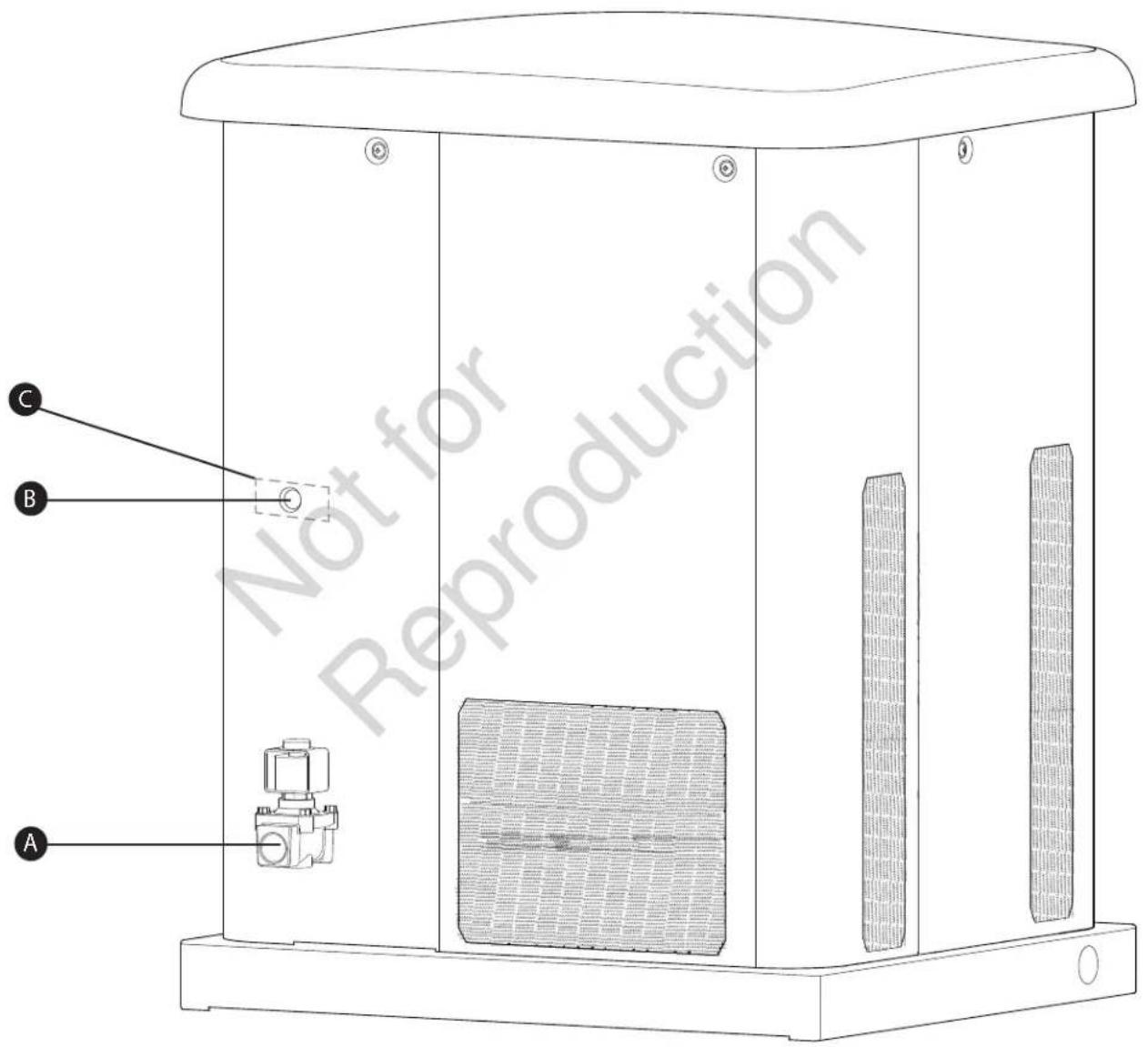 BRIGGS & STRATTON Power Protect 10kW - Emplacements de l'admission du carburant et de l'entrée électrique - 1