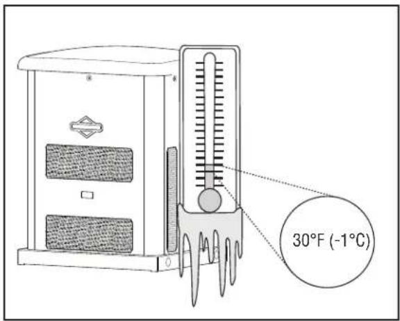 BRIGGS & STRATTON Power Protect 10kW - Equipo opcional (se vende por separado) - 1