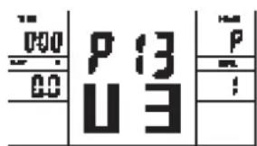 000 P 13 00 U 3