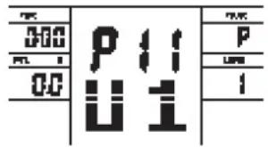 00 01 00 P 11 U 1 P U I