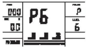 000 P6 00 6