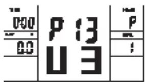 000 P 13 00 U 3
