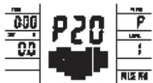 P20 0.00 0.0 1 P 1 ; RICE RIO