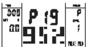 P 19 952