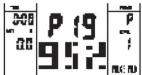 P 19 952