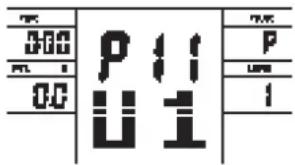 000 P11 00 U11 P U11 I