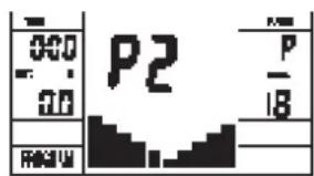 000 010 P2 P 18 R65W