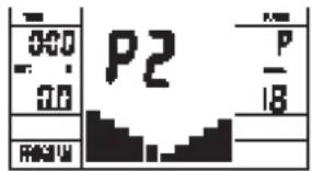 000 0.0 P2 P 18 RMSW