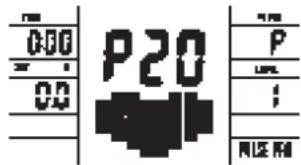 P20 0.00 0.0 1 P 1 : RIZE R#