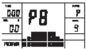 100 0.00 - G.D P8 - 9 - PULFAM