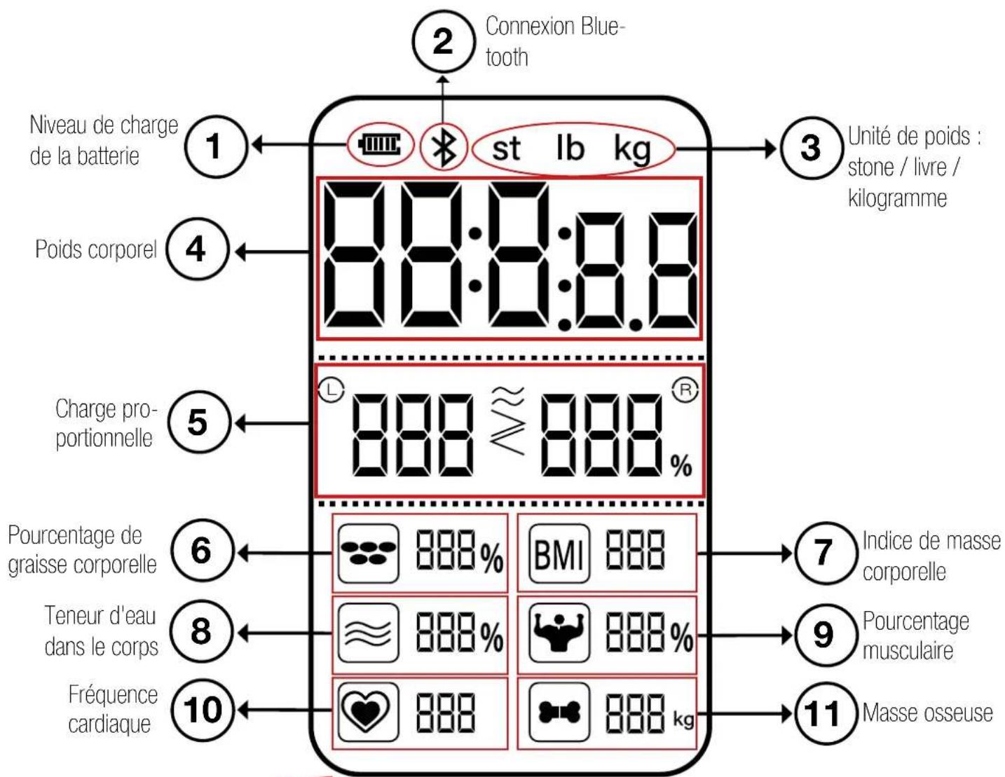 Sportstech BBS300 - Dear customer, - 1