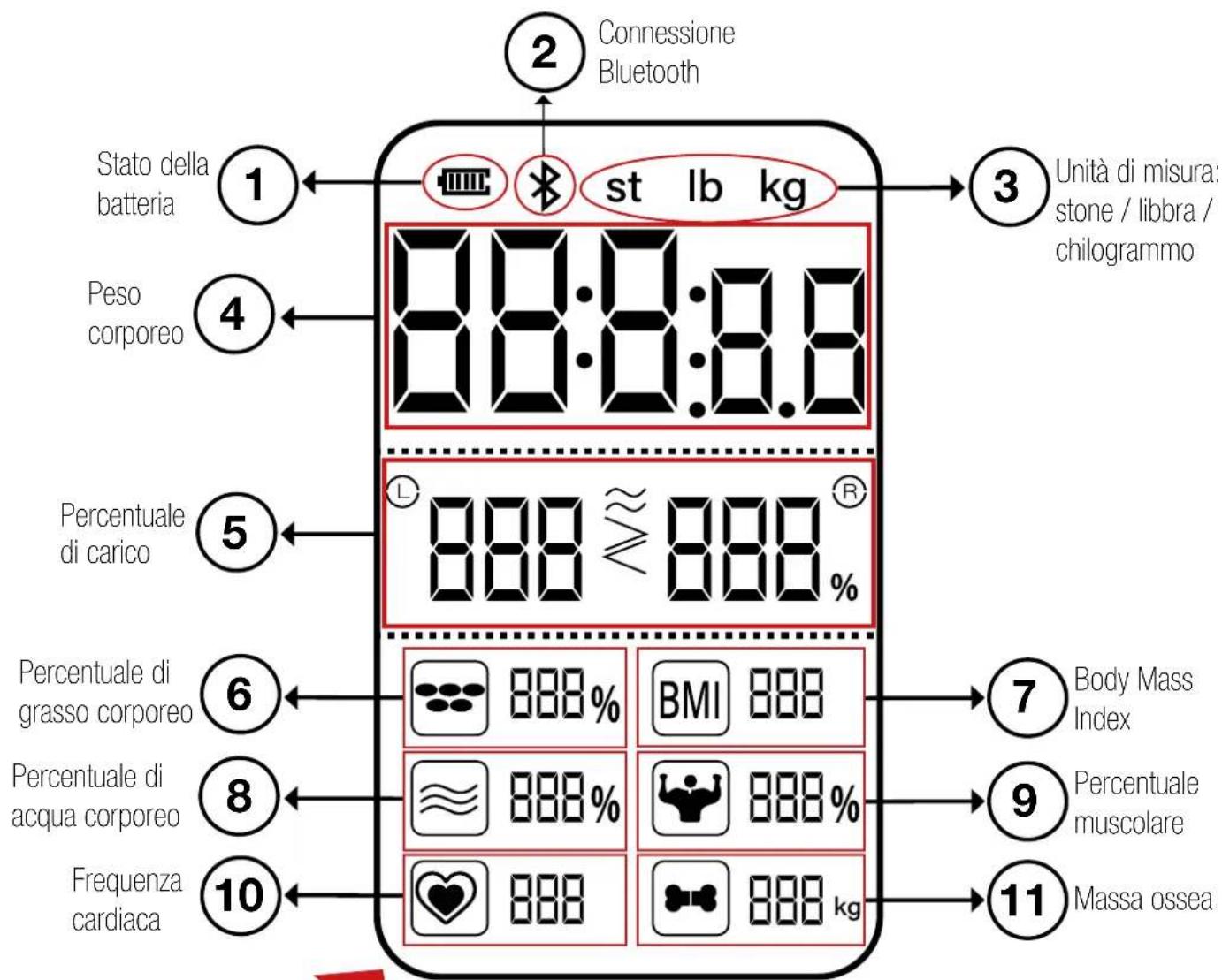 Sportstech BBS300 - Indicazioni sui risultati di misurazione ottenuti - 1