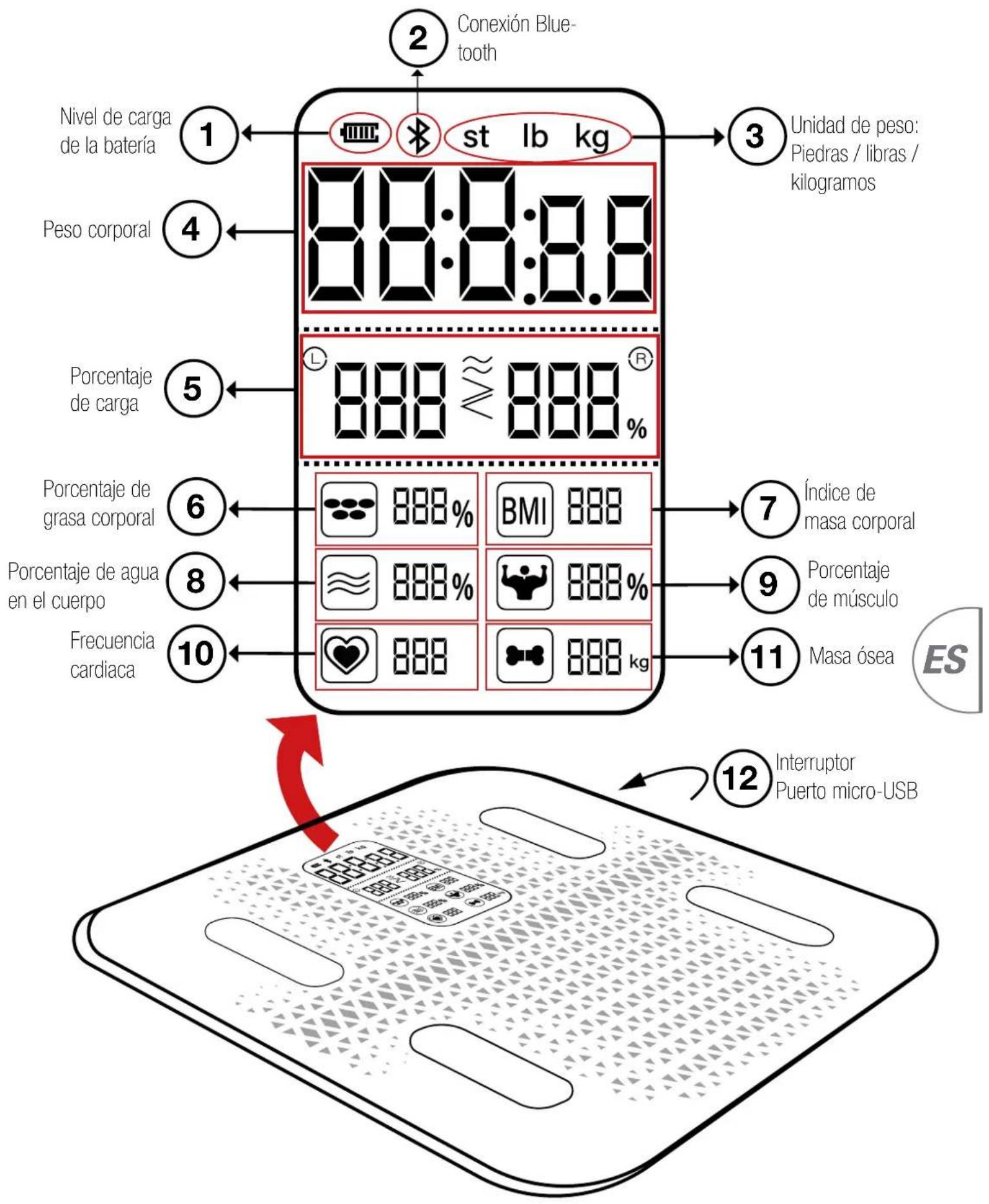 Sportstech BBS300 - Notas sobre los resultados de las mediciones obtenidas - 1
