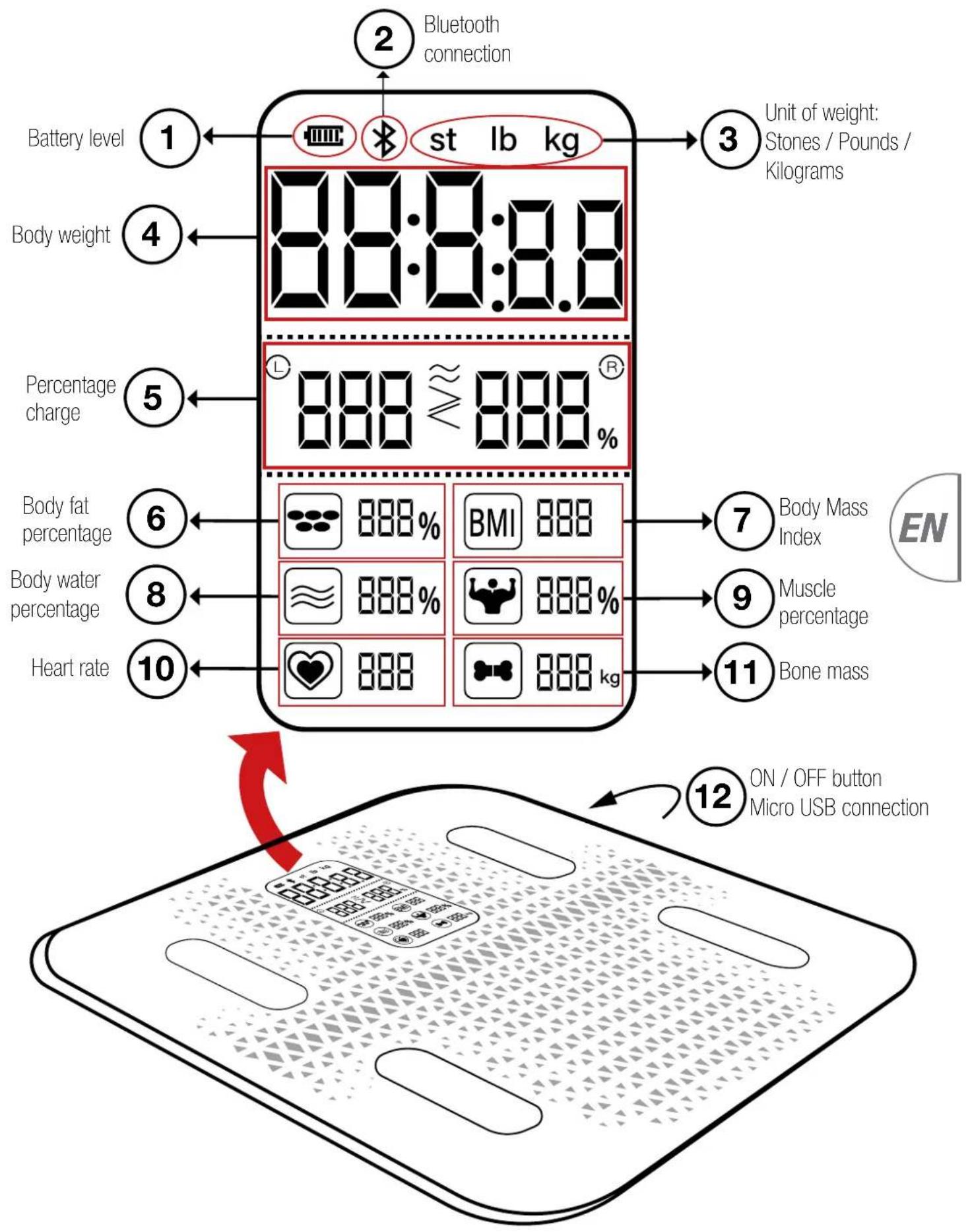 Sportstech BBS300 - Notes on determined measurement results - 1