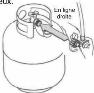 Dyna-Glo DGP730SNBD - RACCORDEMENT DE LA BOUTEILLE DE PROPANE - 1