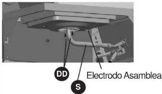 DD S Electrodo Asamblea