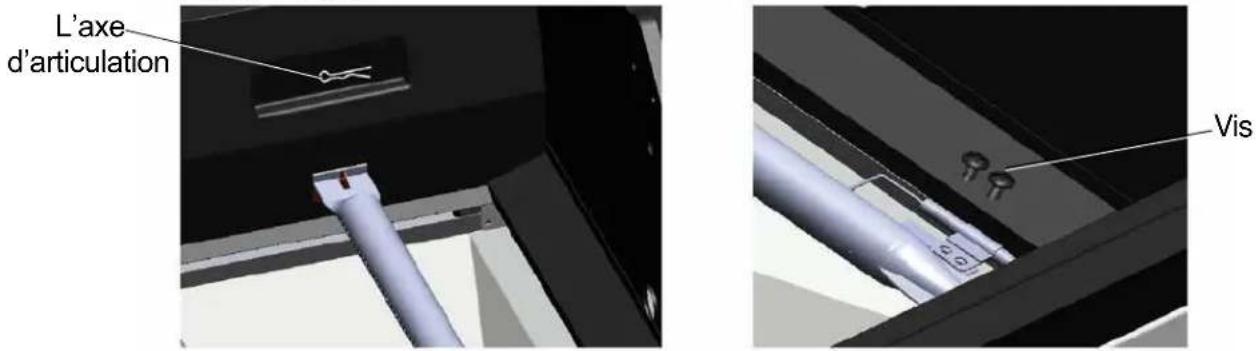 L'axe d'articulation Vis