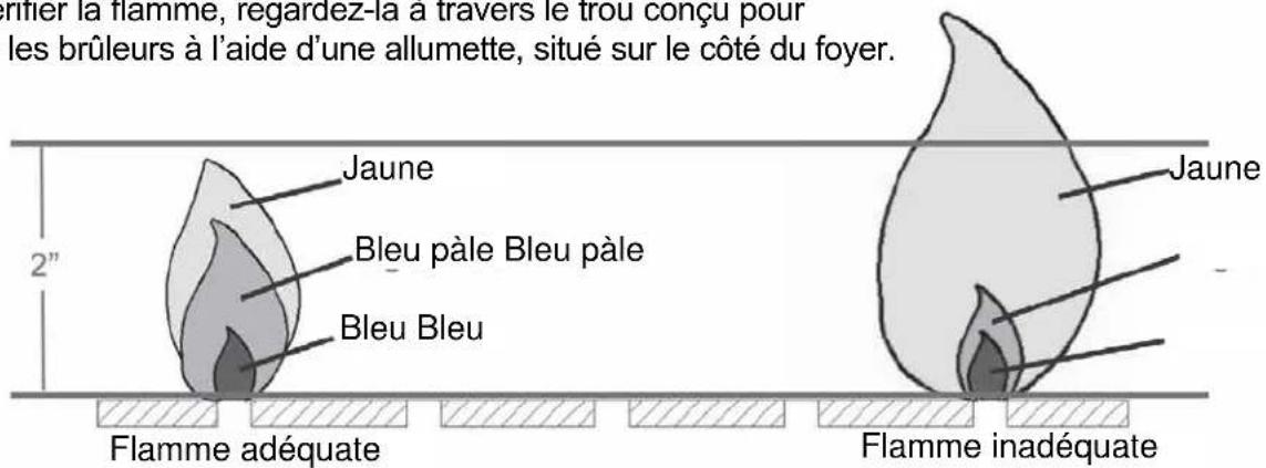 Jaune Bleu pâle Bleu pâle Bleu Bleu Flamme adéquate Jaune Flamme inadéquate
