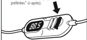 MONSTER RadioPlay 300 - Branchement du RadioPlay - 3