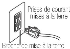 BISSELL BigGreen Commercial BG102DC - INSTRUCTIONS DE MISE À LA TERRE - 1