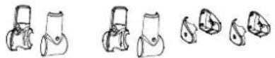 Focus Fitness Senator - SENA TOR - 10