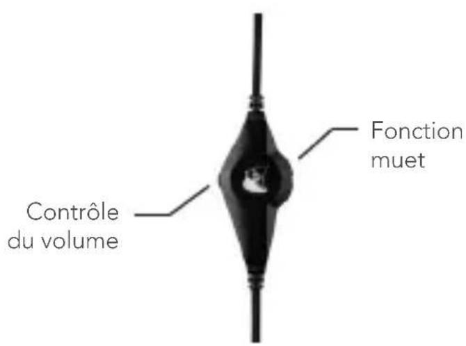 Contrôle du volume Fonction muet