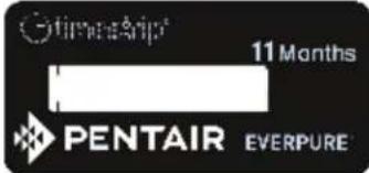 TimesArip 11 Months PENTAIR EVERPURE