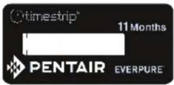 O™timestrip® 11 Months PENTAIR EVERPURE™