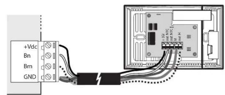 Carel Sensors DP - Fühlerverdrahtung mit Spannungs- oder Stromausgang - 1