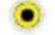LENCO LED2423BK - Fernbedienung - 14