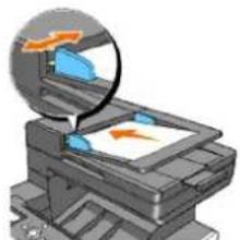 DELL 2135cn - Loading an Original Document - 2