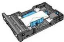 DELL 2135cn - Monarch or DL - 1