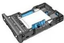 DELL 2135cn - C5 - 1