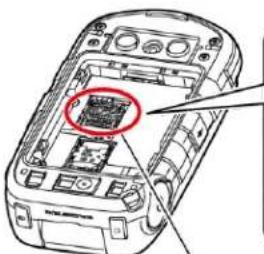 KYOCERA DuraXE - Insérer une Carte MicroSD - 1