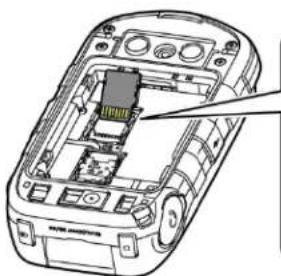 KYOCERA DuraXE - Insérer une Carte MicroSD - 2